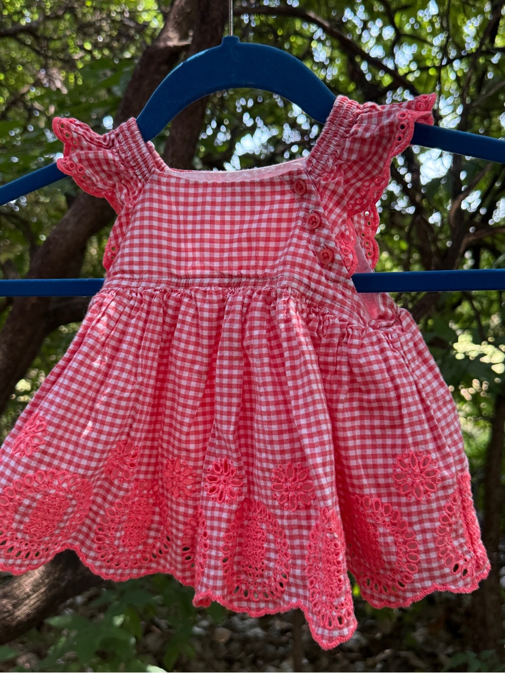 Baby Gap Embroidered Gingham Scalloped Frock